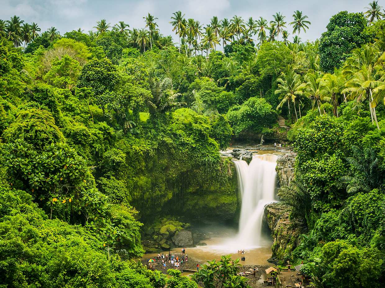 Bali Fantastic One-day Private Tour, photo 2