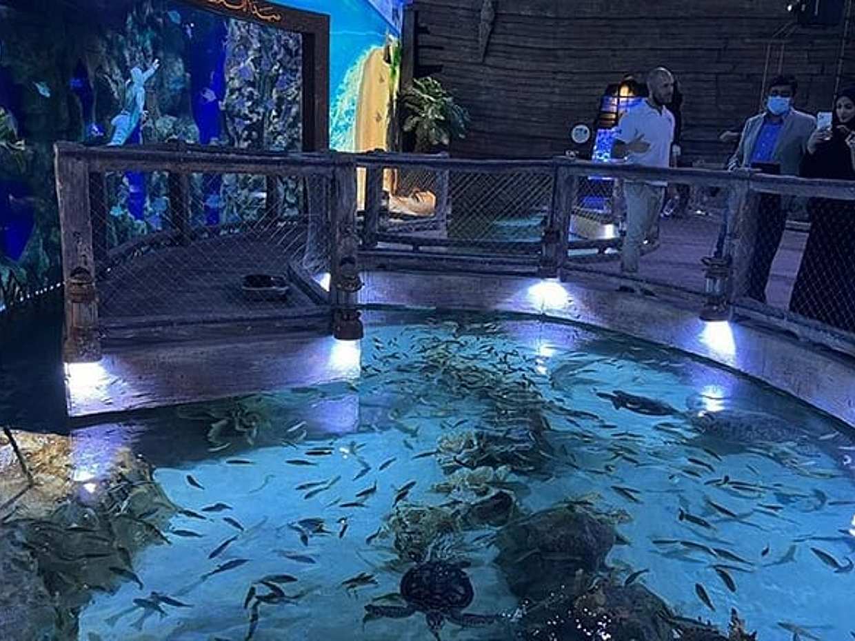 De Nationale Aquarium Abu Dhabi in de Verenigde Arabische Emiraten, أبو ظبي, photo 3