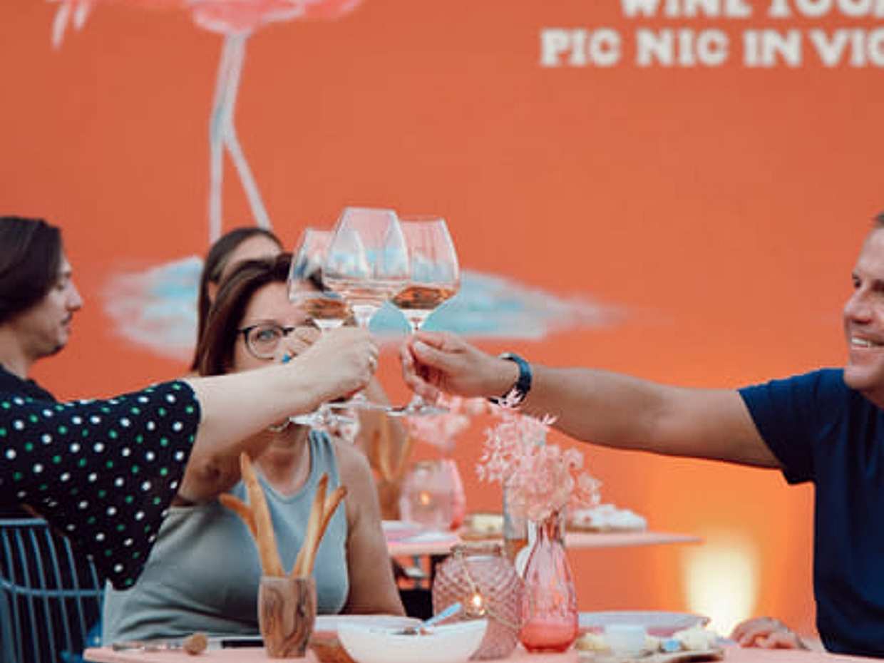 Wine Tour and Tasting of 4 Rosè Valtenesi Wines in Polpenazze