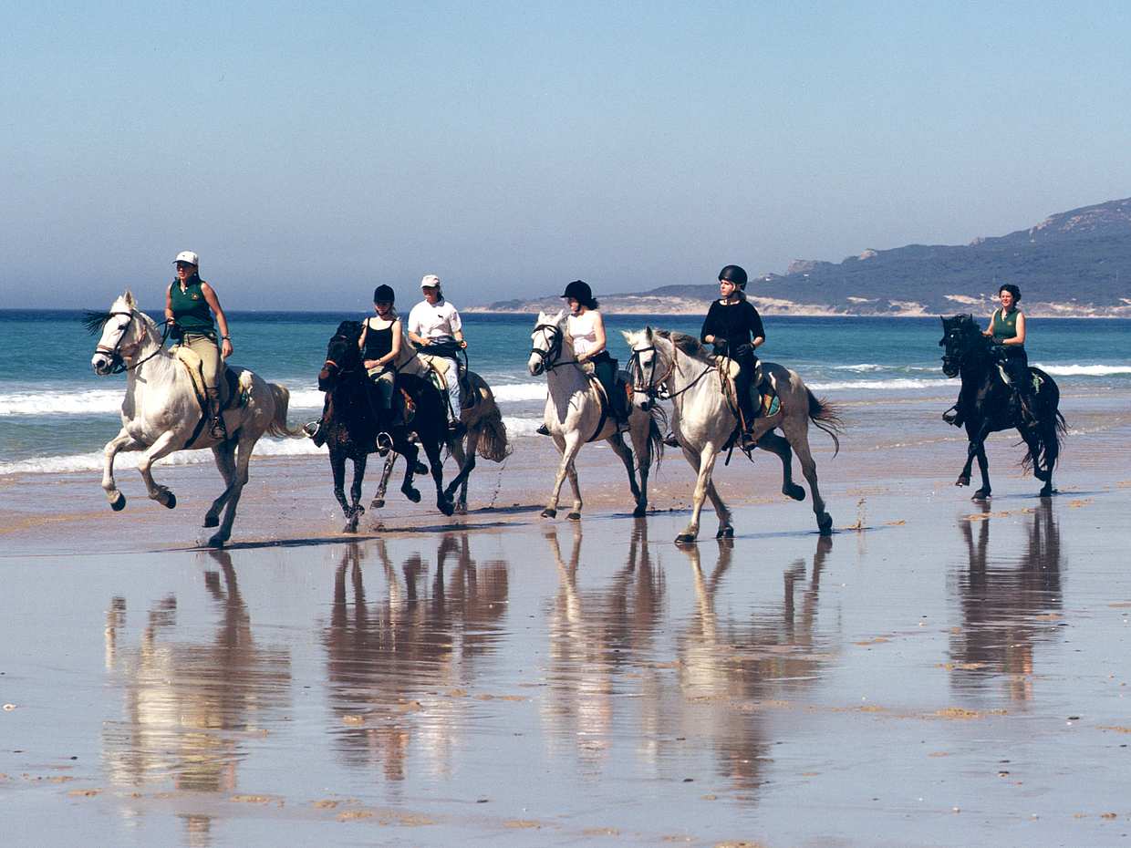 Seaside Horse Riding 30 minutes in Turkey, Istanbul