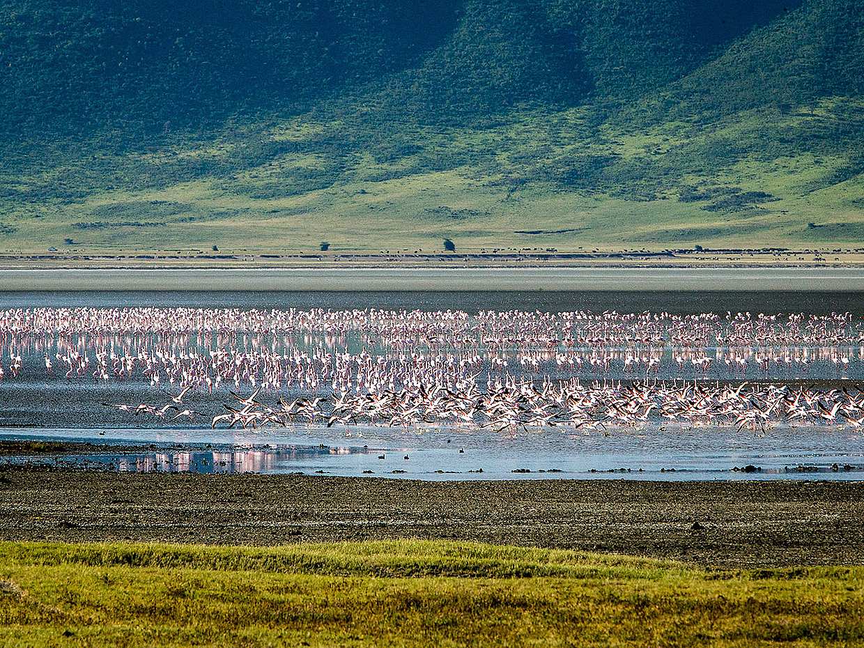 3-Day Private Safari to Tarangire, Lake Eyasi and Ngorongoro Crater, photo 3