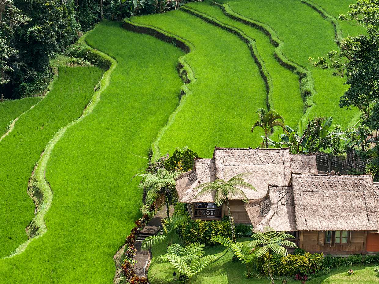 Tanah Lot Tapınağı Ziyareti ile Tam Günlük Kuzey Bali Turu, photo 2