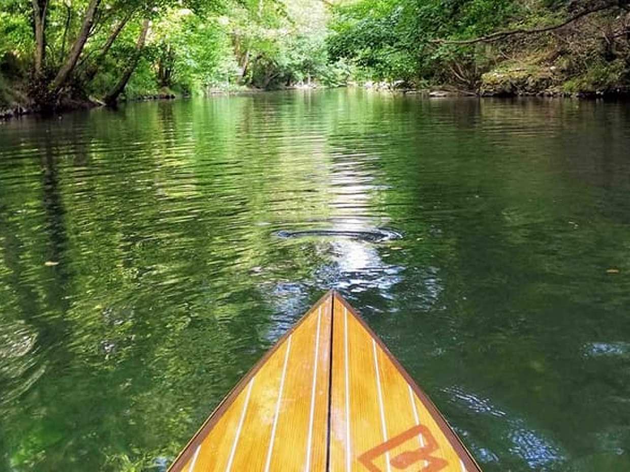 "Stand-Up Paddle & Snorkelingu z lokalnym przewodnikiem blisko Nicei we Francji", photo 4