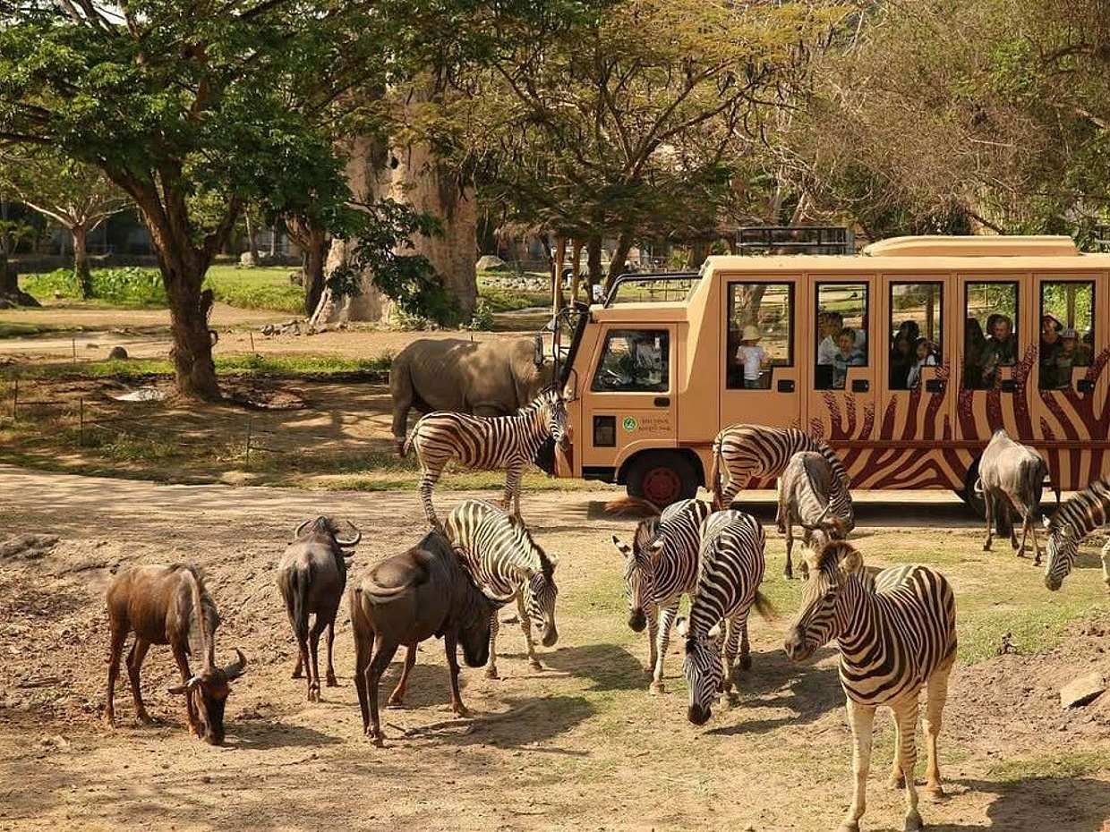 Bali Safari Jungle Hopper Experience with Safari Tram in Indonesia