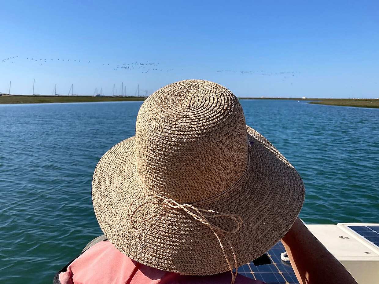 Observação de aves na Ria Formosa num Barco Solar a partir de Faro, em Portugal.
, photo 3