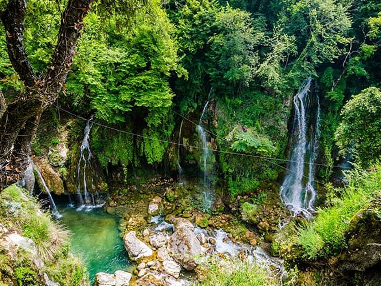 Discover Our Fields and Lake Full-Day Shared Tour from Nice