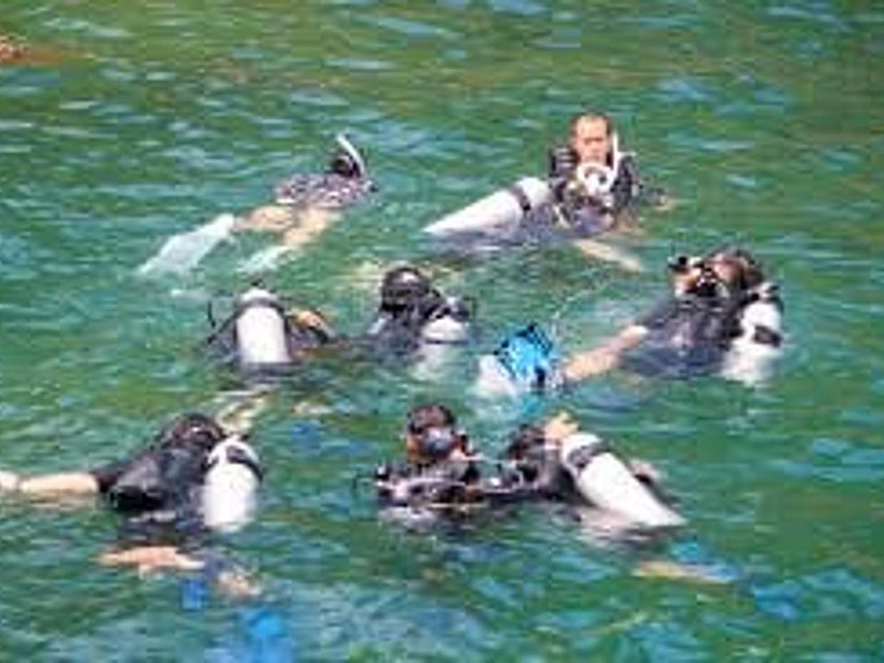 Nemo Trip: Snorkeling & Floating Crazy Party, photo 5