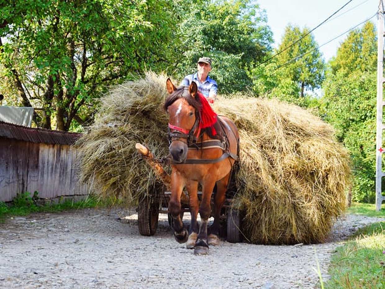 Best of Maramures, Romania, photo 3
