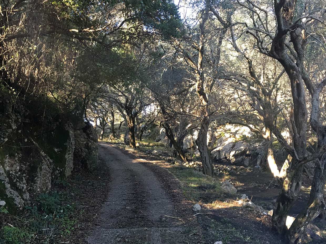 South Corfu Premium 4x4 Experience: Scenic Views, Villages, Coastal Serenity and Flavours in Greece, photo 4
