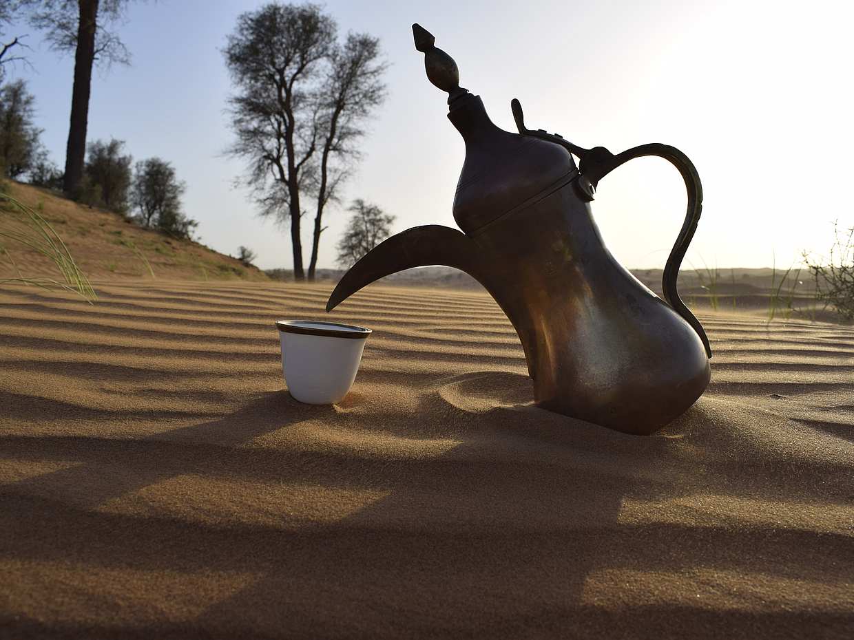 Morning Camel Trekking with Quad Biking in Ras al Khaimah, United Arab Emirates, photo 5