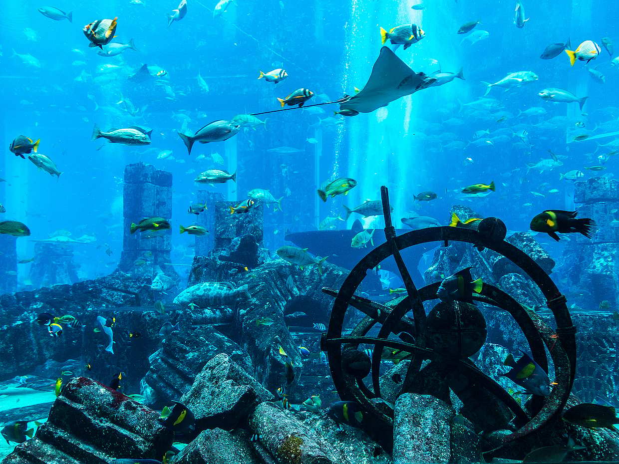 Atlantis Water Park & Lost Chamber με Εισιτήριο & Μεταφορά στα Ηνωμένα Αραβικά Εμιράτα, photo 2