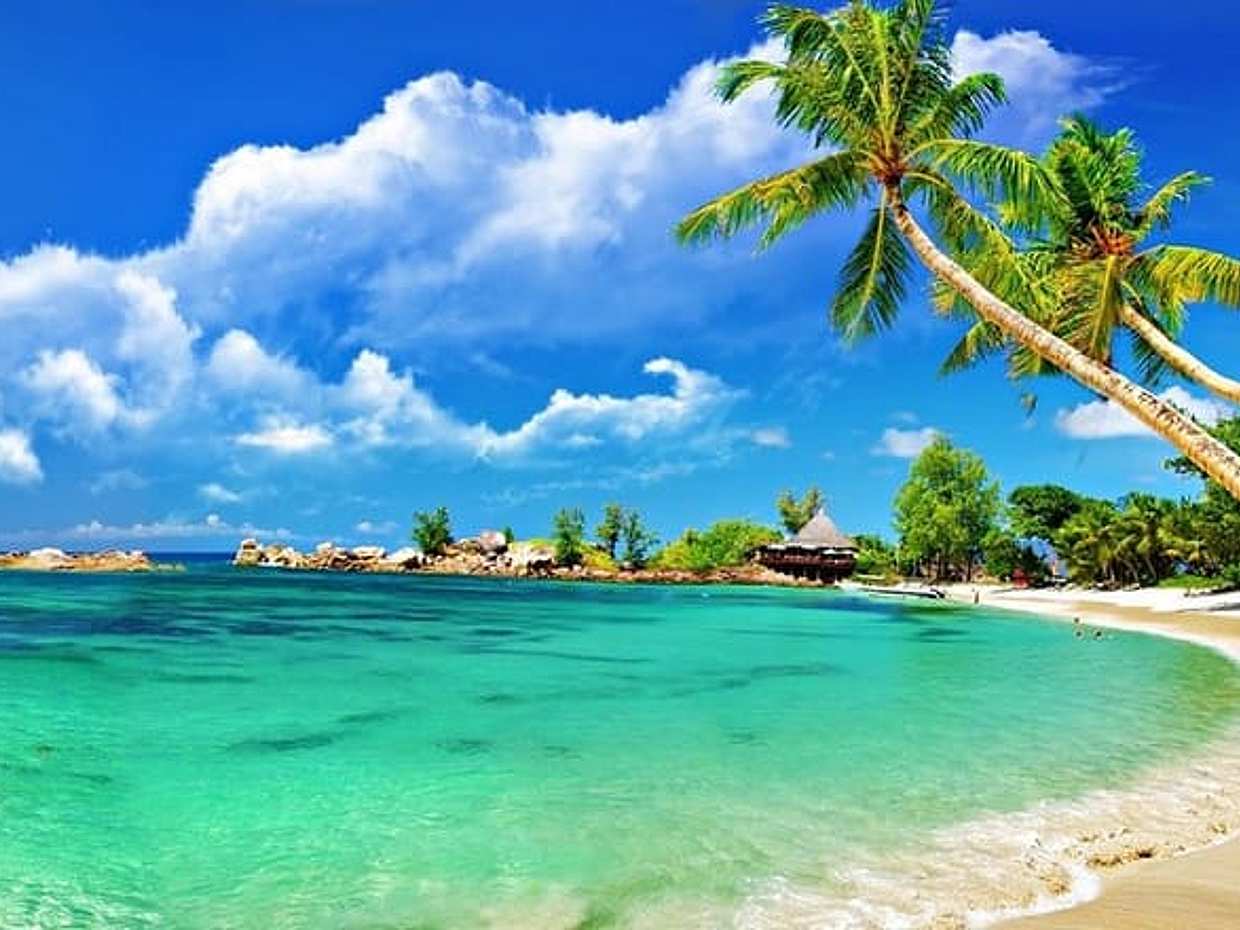 Cham Island Trip by Speed Boat including Snorkeling from Hoi An or Da Nang in Vietnam, photo 5