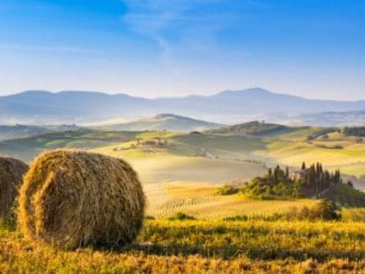 Brunello di Montalcino: Prohlídka vína ze San Gimignano v Itálii, photo 5