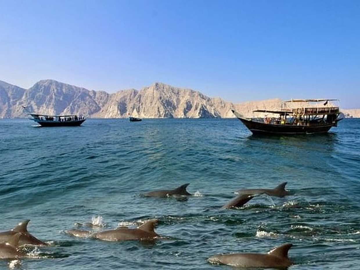 Musandam - 阿联酋迪拜的哈萨布之旅