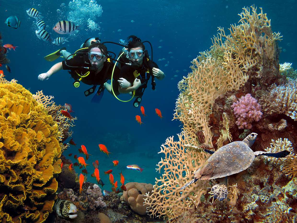 Diving Experience in Antalya in Turkey, Antalya District, photo 2