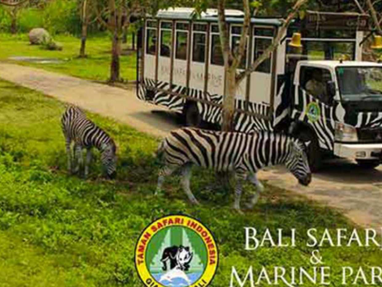 Bali Safari Jungle Hopper Experience with Safari Tram in Indonesia, photo 4