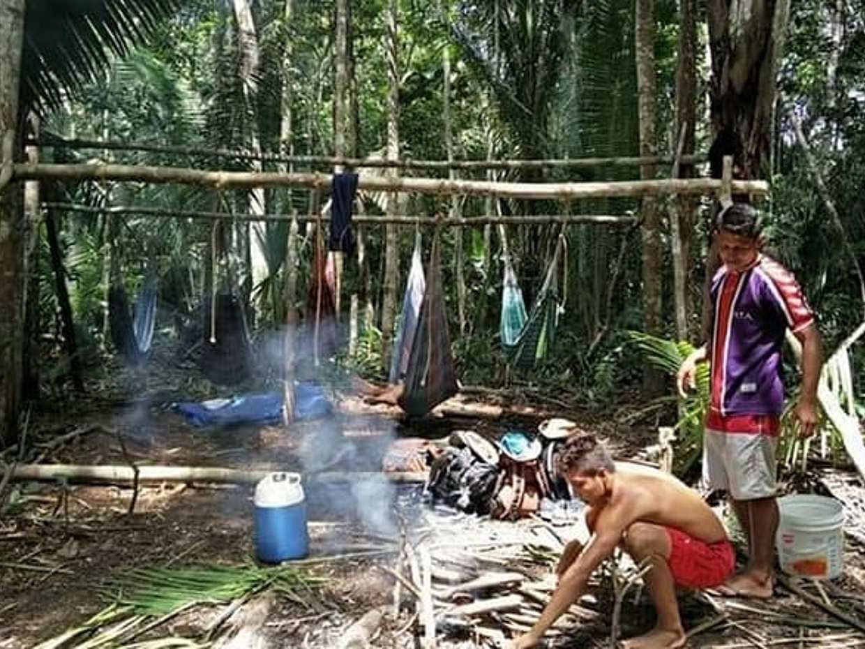 "Excursão de 8 horas pela Selva Amazônica e Arquipélago de Anavilhanas no Brasil, Manaus", photo 2