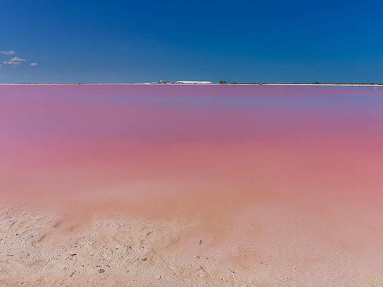Chichen-Itza, Cenote Ik-Kil, Rio Lagartos, Las Coloradas Private Tour with Lunch