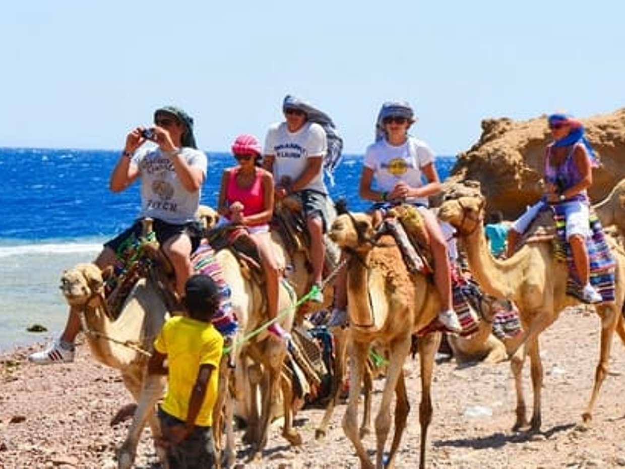 Snorkeling and Camel Ride with Lunch in Dahab from Sharm El Sheikh, photo 2
