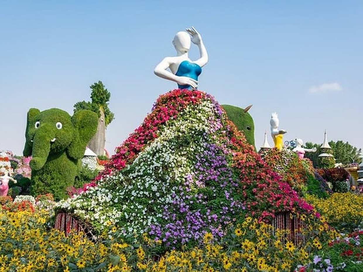 Miracle Garden and Butterfly Garden Combo