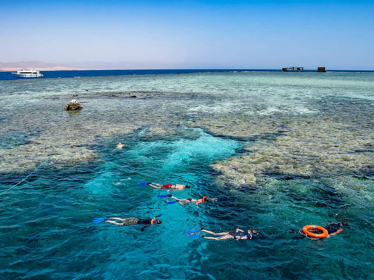 Snorkeling Trip to Tiran Island by Boat from Sharm El Sheikh in Egypt, Sharm El-Sheikh, photo 3