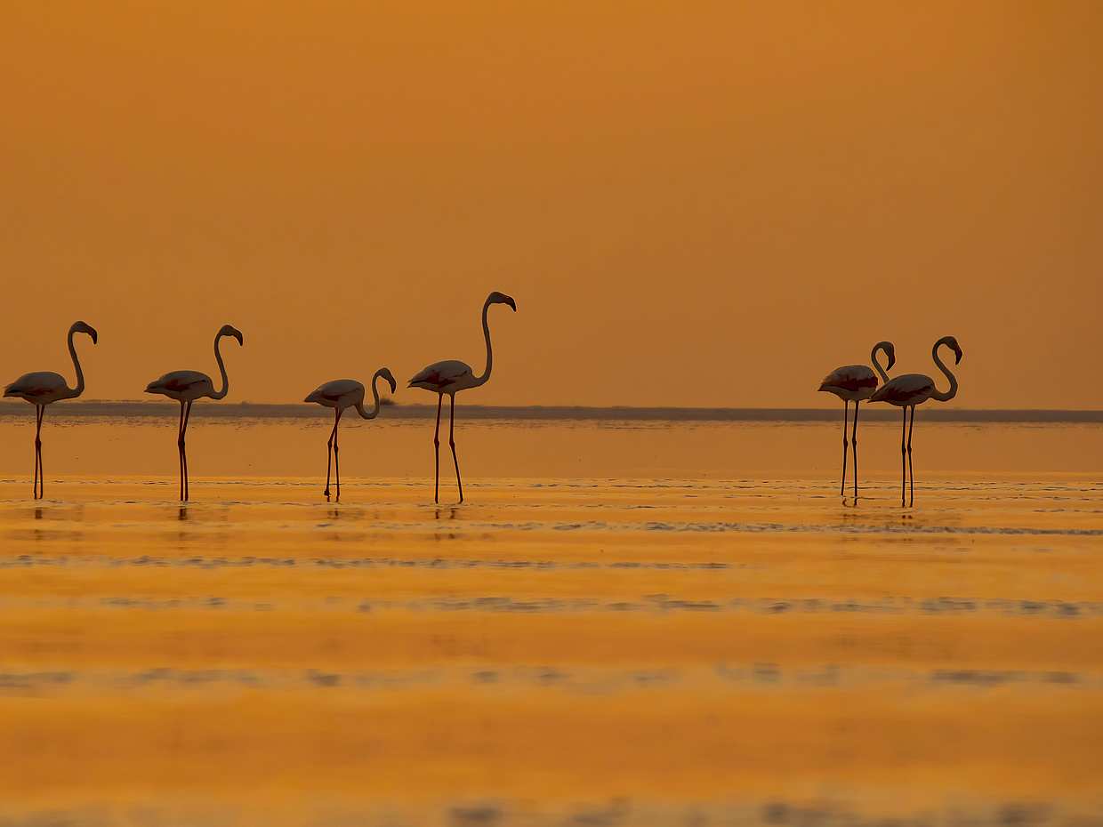 From Cappadocia: Salt Lake Tour in Turkey, photo 3