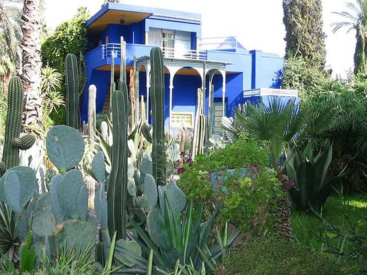 Majical Majorelle Garden and Camel Ride in Palmeraie of Marrakech, photo 2
