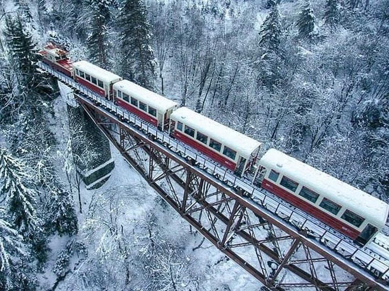 Borjomi/Bakuriani Private Full Day Tour from Tbilisi, photo 3