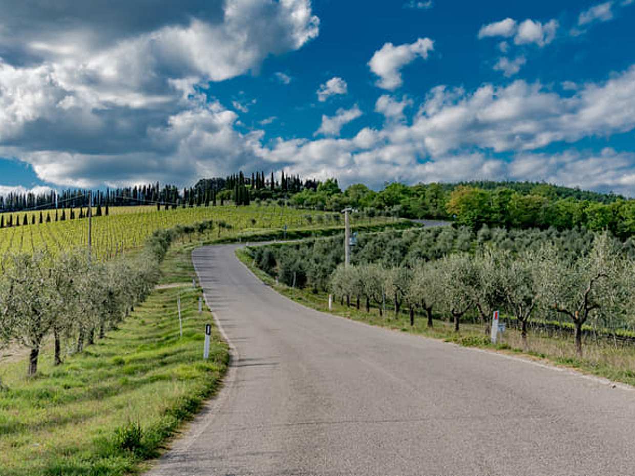 E-Bike Adventure in Chianti: Discover the Landscapes of Tuscany with Lunch and Wine Tasting, photo 4