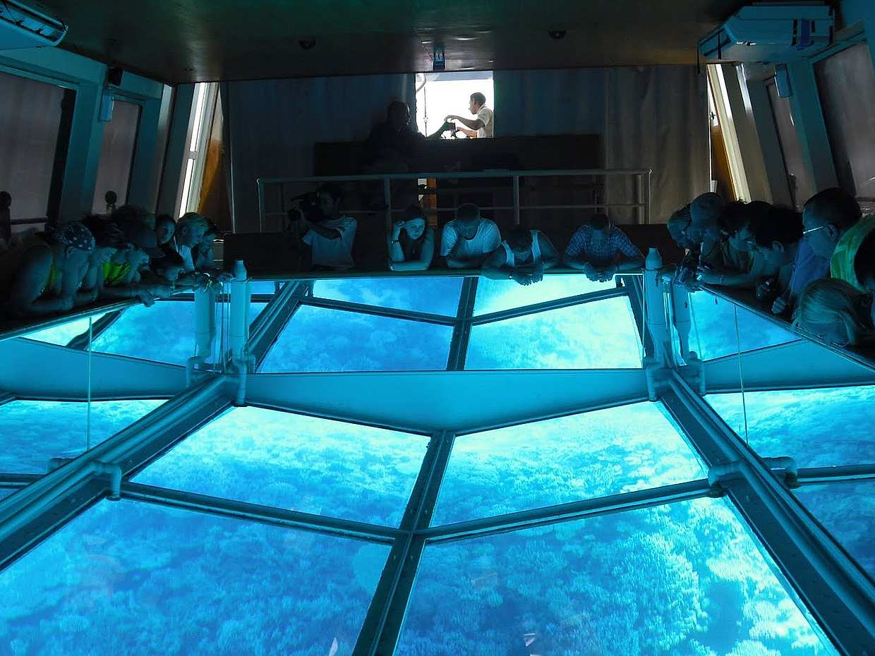 Exploring the Sea in Glass Bottom Boat in Sharm el Sheikh in Egypt, Sharm El-Sheikh, photo 2