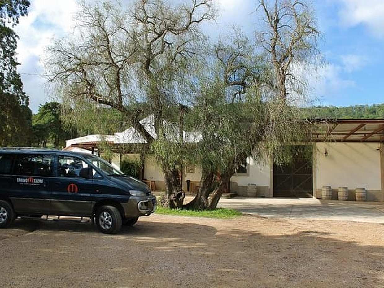 Descubra os Vinhos de Setúbal: Uma Aventura de Vinhos Privada de Lisboa em Portugal, photo 5