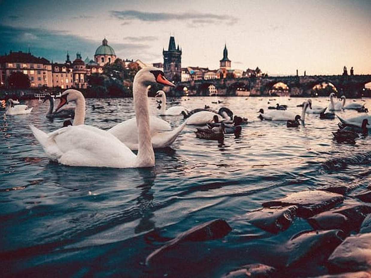 Private Transfer from Berlin to Prague with 2h of Sightseeing, photo 5