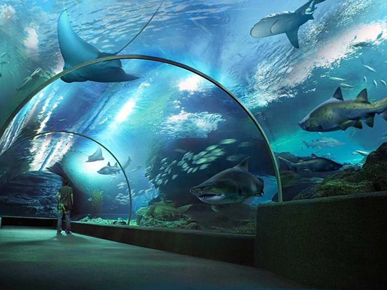 Bangkok: Safari World Tour with Safari and Marine Park Ticket and Transfer in Thailand, photo 4
