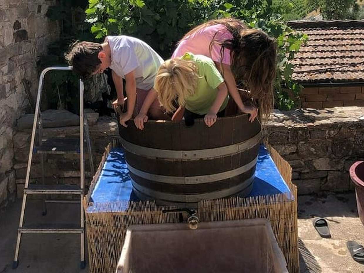 Tuscan Grape Stomping and Wine Tasting Adventure in Chianti, photo 2