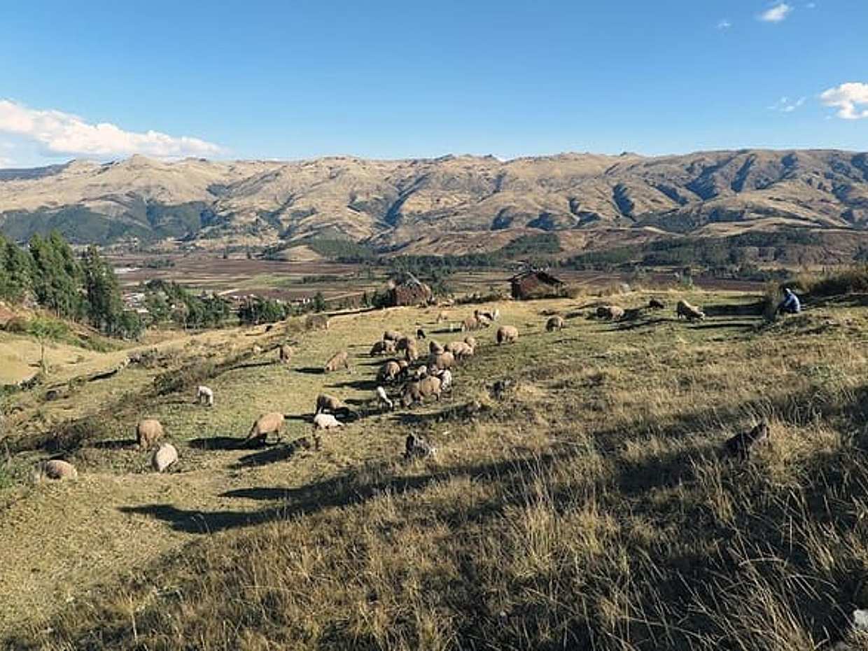 Private Transfer From Puno to Cusco With 2 Stops, photo 5