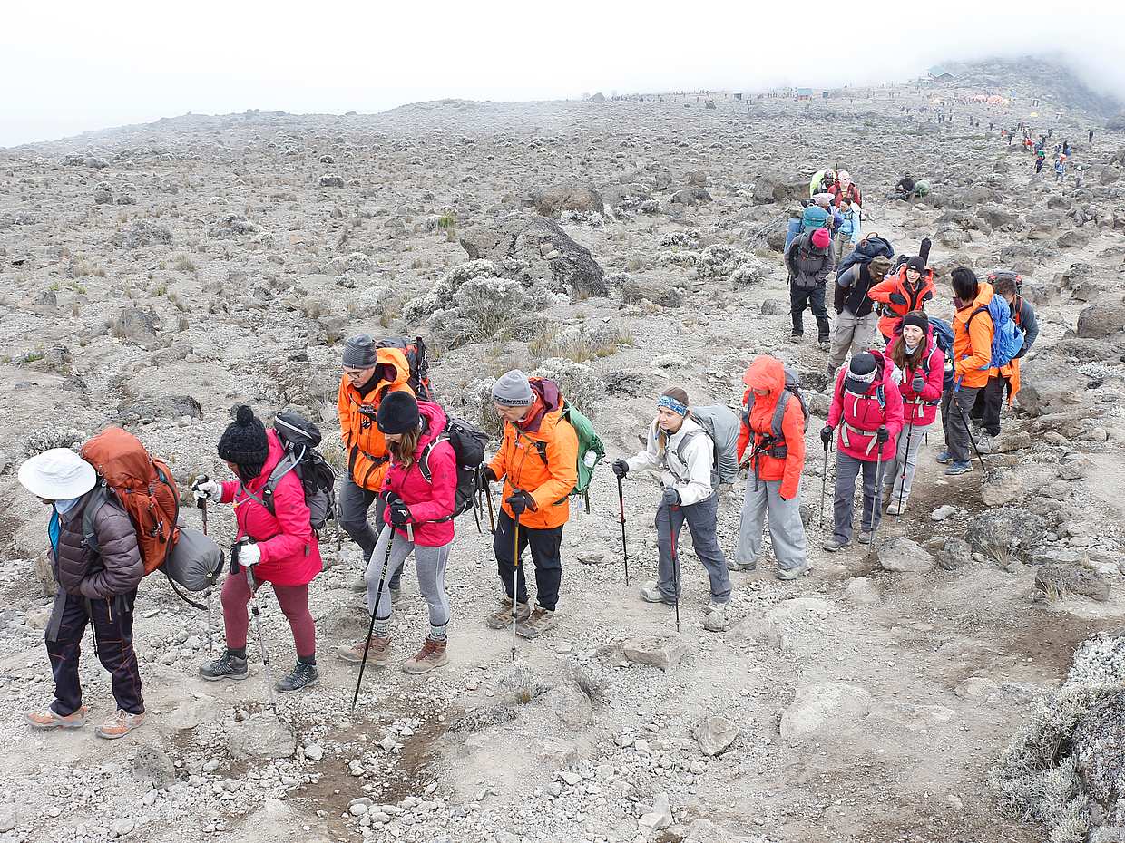 Kilimanjaro Luxury 7-day Hike, Tanzania, photo 2