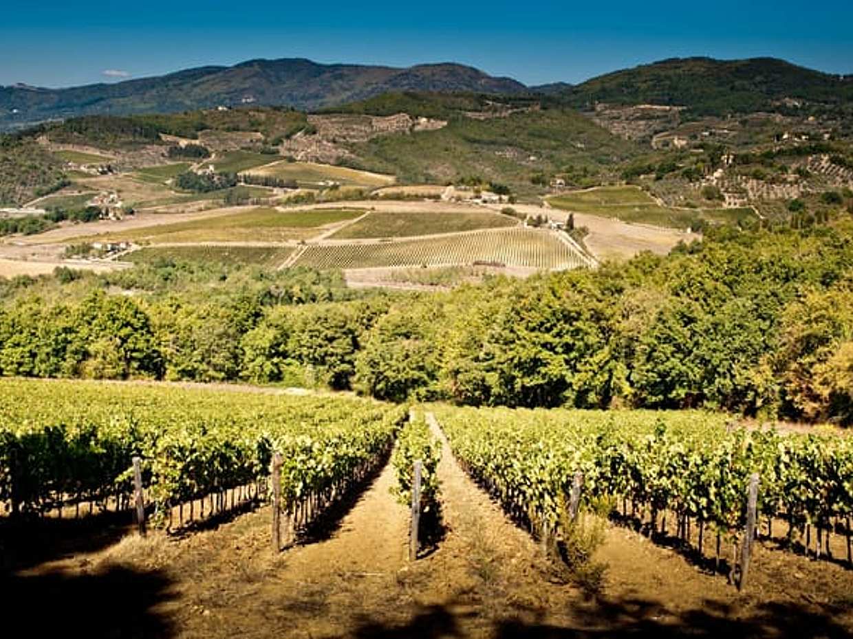 Explore Elegance: Savor 3 Exquisite Wines at Tenuta Bossi, photo 4
