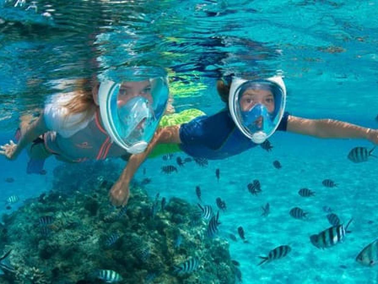 Dolphin House Reefs: Snorkel & watch Adventure from Hurghada, photo 4
