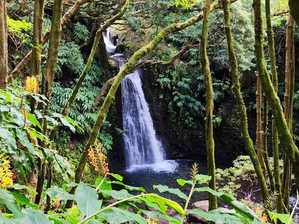 3-Day Essence of Faial: Volcanoes, Craters & Atlantic Horizons, photo 4