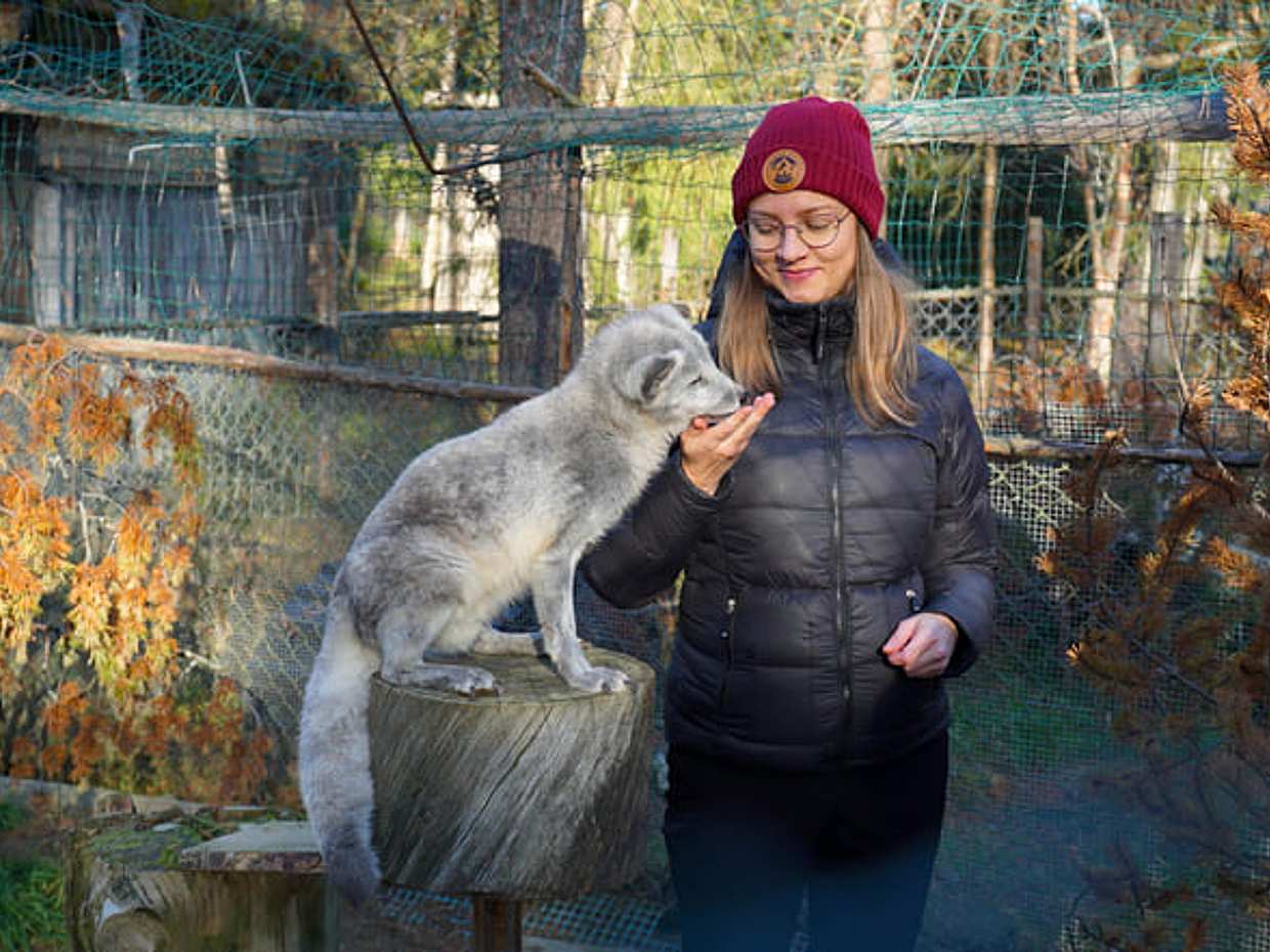 Husky Park Visit & Meet the Movie Star Animals, Levi, photo 5