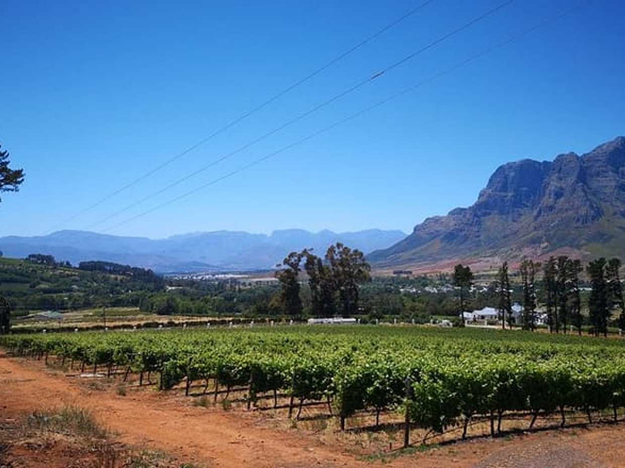 Cape Winelands Stellenbosch Franschhoek Paarl Tour from Cape Town, photo 4