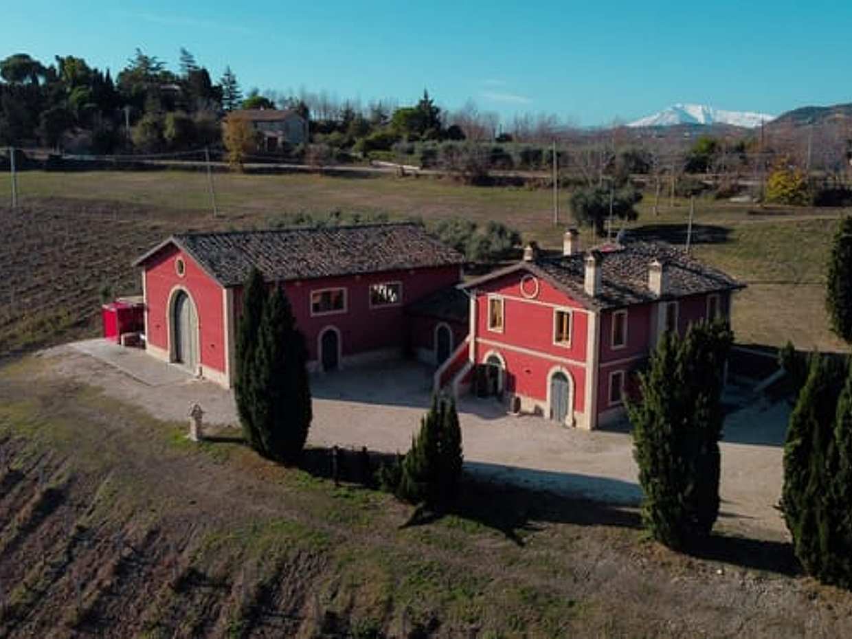 Marche: unique visit and tasting at Cantina D'Erasmo amidst signature wines, photo 4
