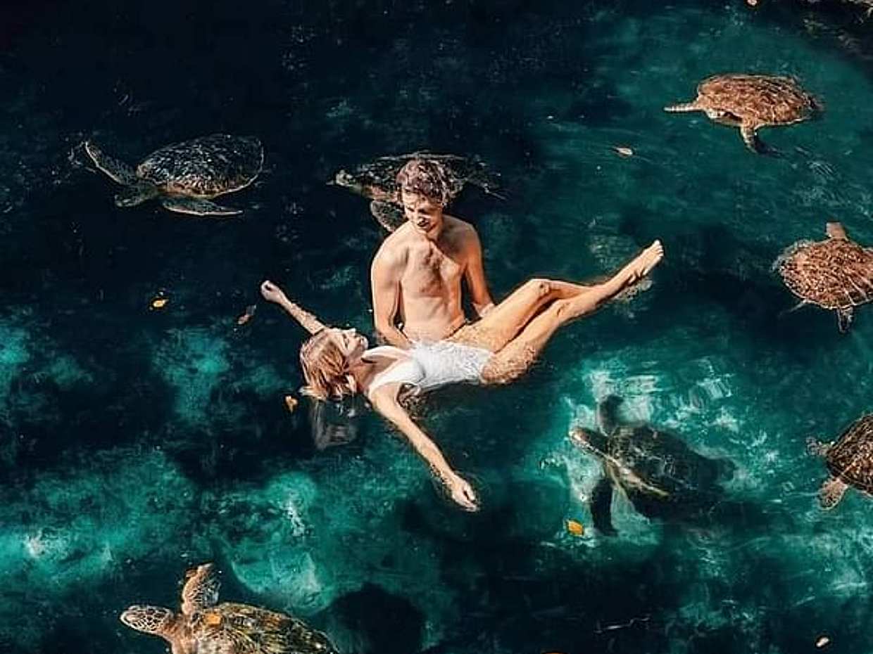Nungwi Turtle Aquarium Guided Half-Day Trip in Zanzibar in Tanzania