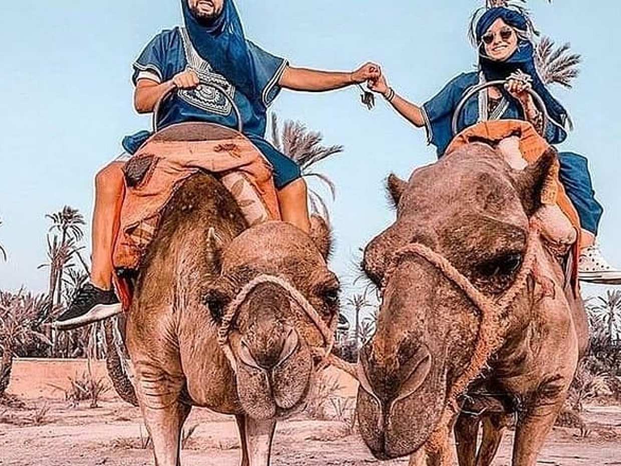 Marrakech Desert Camel Ride, photo 3