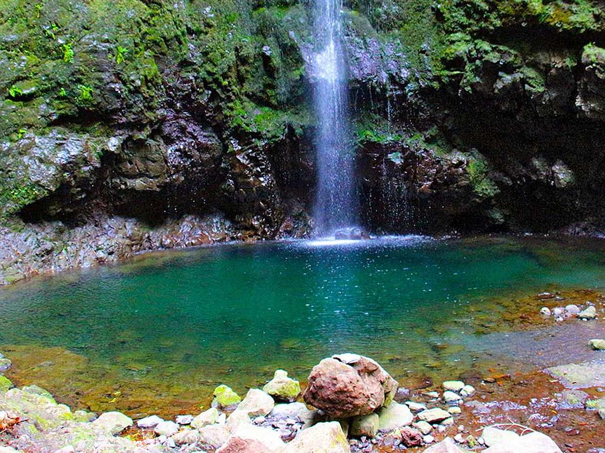 Queimadas, Caldeirão Verde Full-day Walking Tour in Portugal, Funchal, photo 3