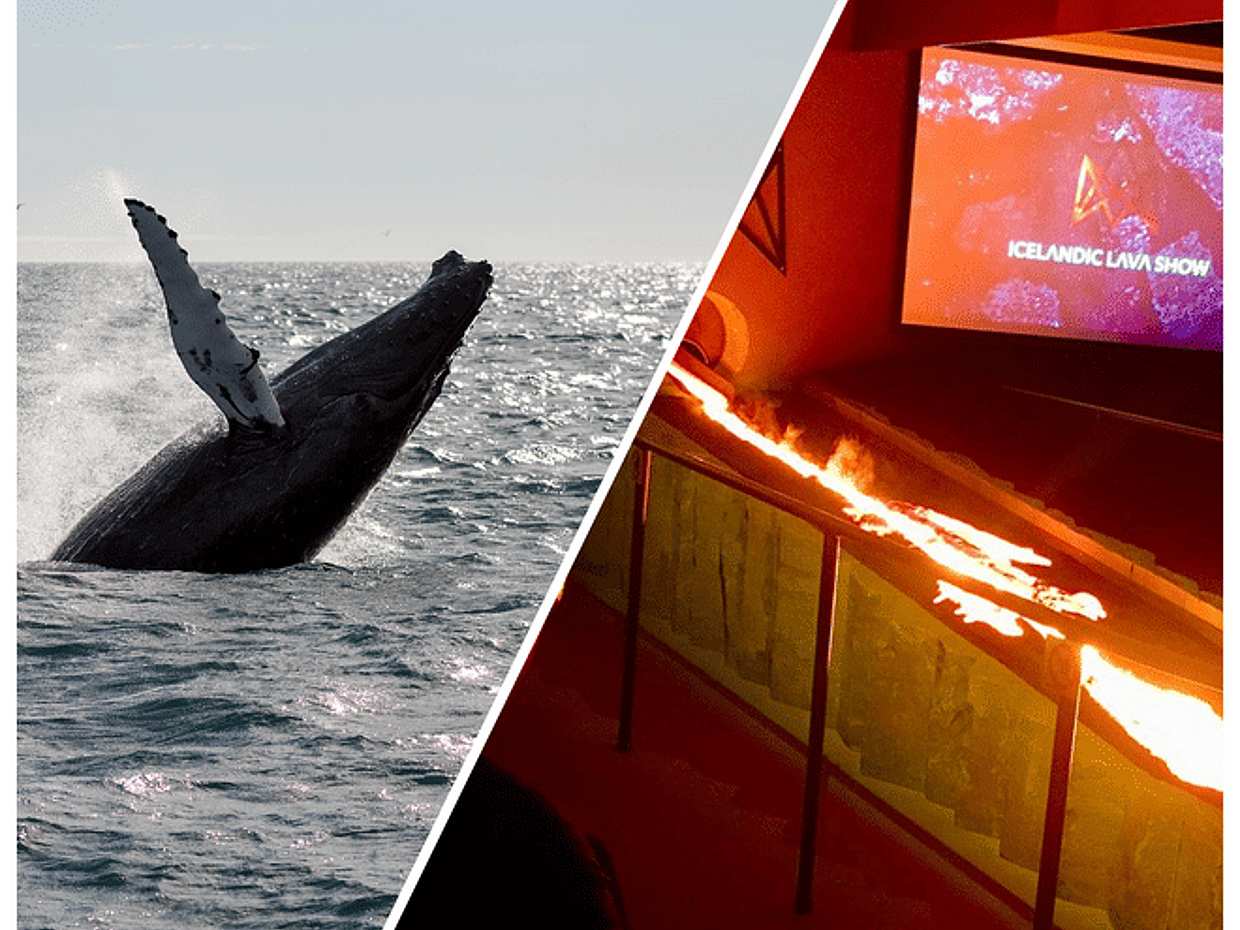 Whale Watching & Lava Show Reykjavik: Nature's Breathtaking Spectacle