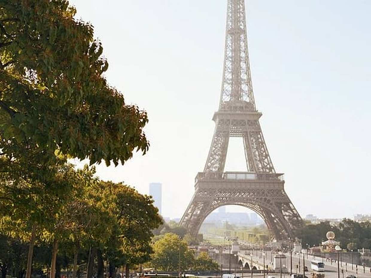Eiffel Tower Summit with a Bottle of Champagne