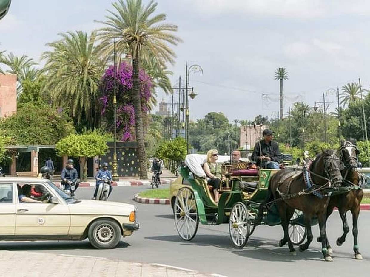 Horse Carriage Ride in Marrakech, photo 3