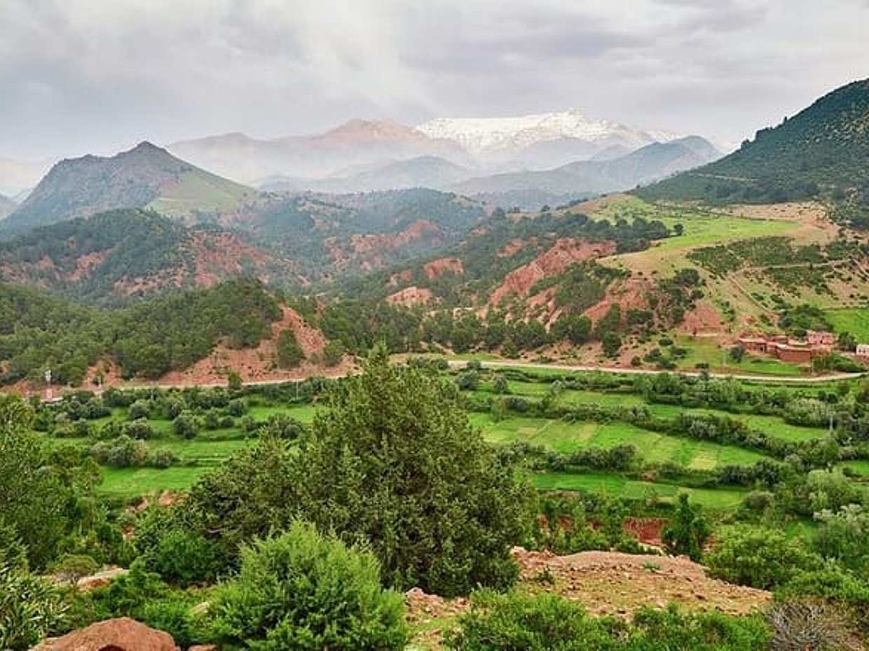 Ourika Valley Atlas Mountains Private Day Trip from Marrakech, photo 2
