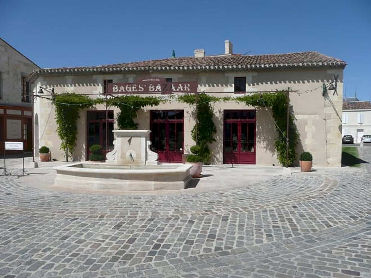 Private Shore Excursion from Le Verdon to Medoc Winery, photo 2